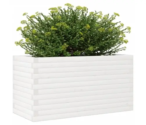 Sodo Lovelis, Baltas, 90X40X46cm Pušies Medienos Masyvas