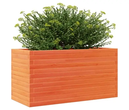 Aia Taimekast, Vahapruun, 90 X 40 X 46 cm Männipuit