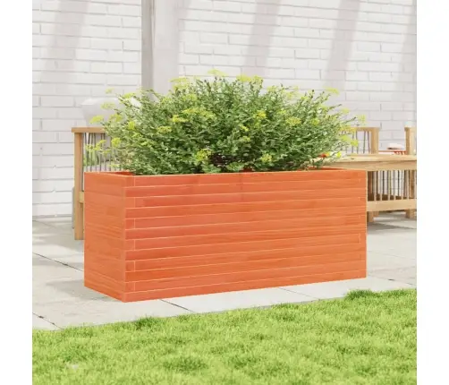 Sodo Lovelis, Vaško Rudas, 110X40X46cm Pušies Masyvas