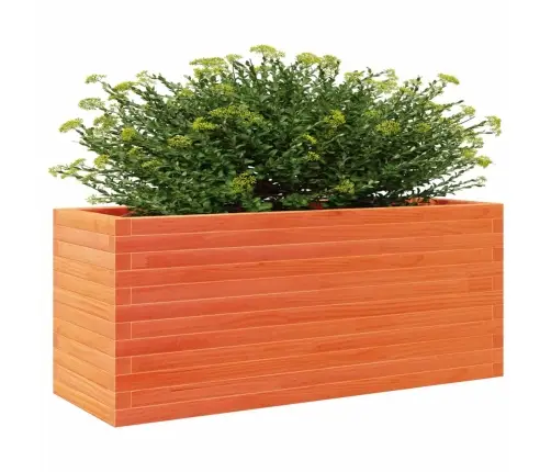 Sodo Lovelis, Vaško Rudas, 110X40X46cm Pušies Masyvas