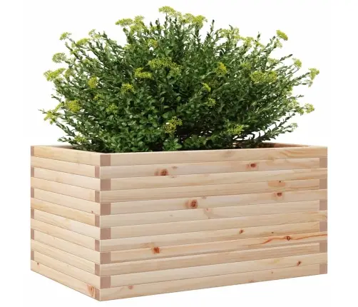 Sodo Lovelis, 90X60X46cm Pušies Medienos Masyvas