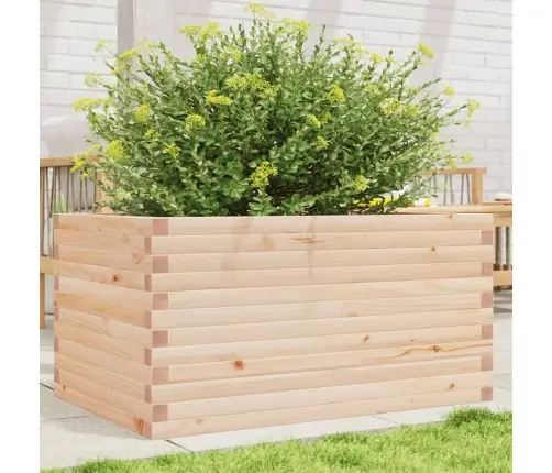 Sodo Lovelis, 90X60X46cm Pušies Medienos Masyvas