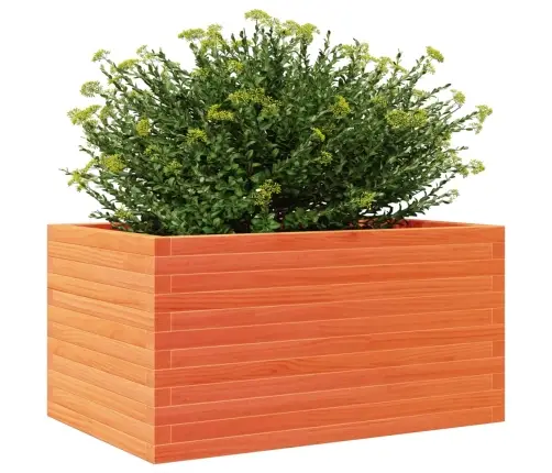 Dārza Puķu Kaste, Vaska Brūnas, 90X60X46 Cm Priedes Masīvkoks Vidaxl