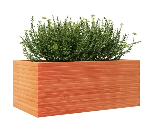 Dārza Puķu Kaste, Brūna, 110X60X46 Cm, Priedes Masīvkoks Vidaxl