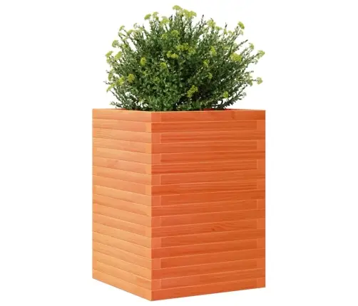 Dārza Puķu Kaste, Vaska Brūnas, 50X50X68,5Cm, Priedes Masīvkoks Vidaxl