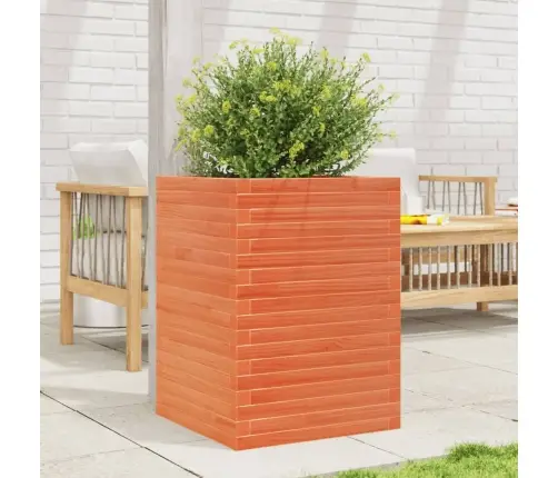 Dārza Puķu Kaste, Vaska Brūnas, 50X50X68,5Cm, Priedes Masīvkoks Vidaxl