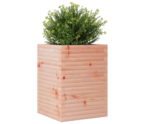 Aia Taimekast, 50X50X68,5 cm Ebatsuuga Puit