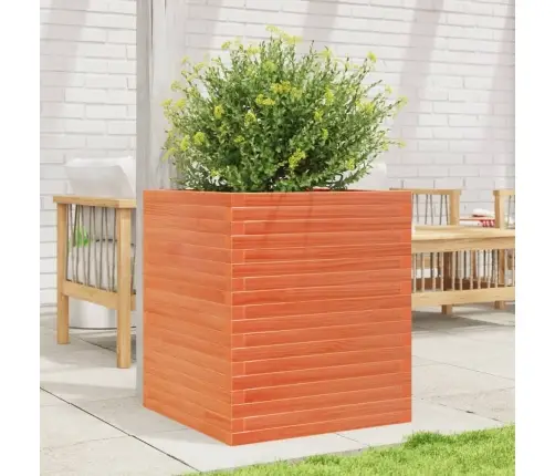 Aia Taimekast, Vahapruun, 60X60X68,5 cm Männipuit