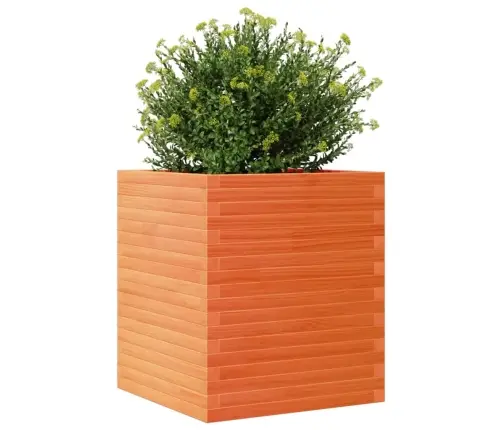 Aia Taimekast, Vahapruun, 60X60X68,5 cm Männipuit