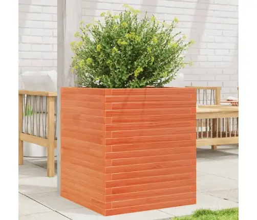 Aia Taimekast, Vahapruun, 60X60X68,5 cm Männipuit