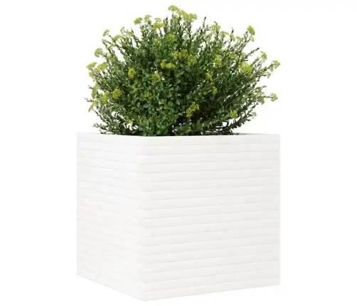Dārza Puķu Kaste, Balta, 70X70X68,5 Cm, Priedes Masīvkoks Vidaxl