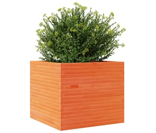 Sodo Lovelis, Vaško Rudas, 80X80X68,5cm Pušies Masyvas