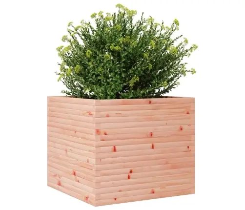 Aia Taimekast, 80X80X68,5 cm Ebatsuuga Puit