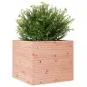 Aia Taimekast, 80X80X68,5 cm Ebatsuuga Puit