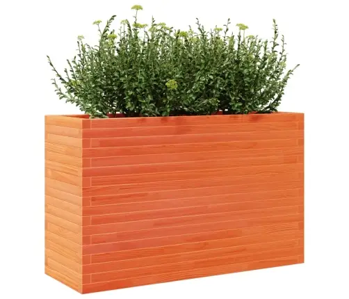 Aia Taimekast, Vahapruun, 110X40X68,5 cm Männipuit