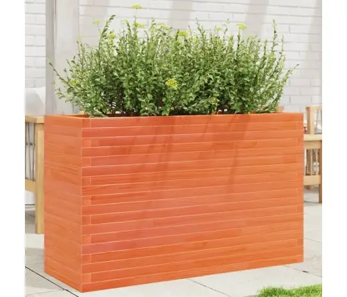 Aia Taimekast, Vahapruun, 110X40X68,5 cm Männipuit