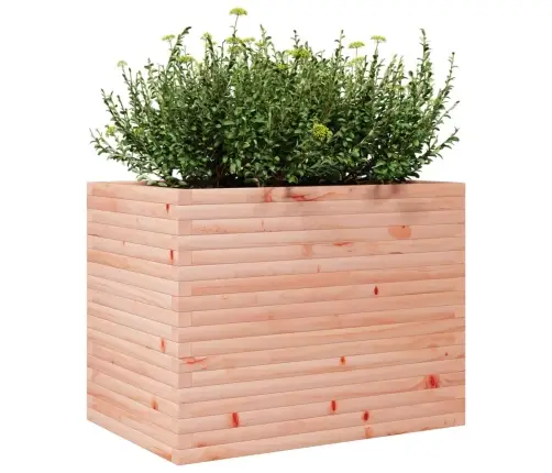 Sodo Lovelis, 90X60X68,5cm Douglas Eglės Medienos Masyvas