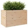 Dārza Puķu Kaste, 110X60X68,5 Cm, Priedes Masīvkoks Vidaxl