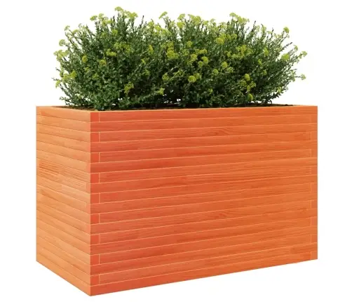 Aia Taimekast, Vahapruun, 110X60X68,5 cm Männipuit