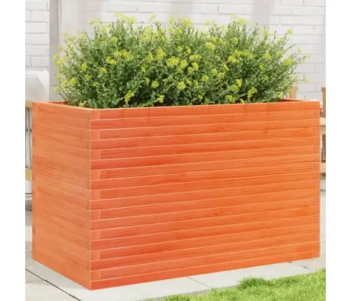 Aia Taimekast, Vahapruun, 110X60X68,5 cm Männipuit