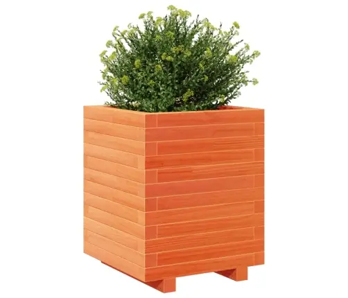 Aia Taimekast, Vahapruun, 40X40X49,5 cm Männipuit