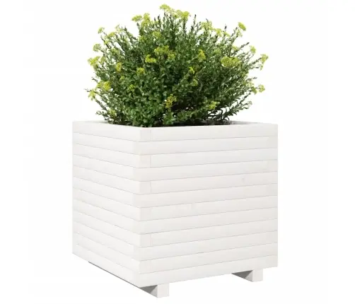 Dārza Puķu Kaste, Balta, 50X50X49,5 Cm, Priedes Masīvkoks Vidaxl