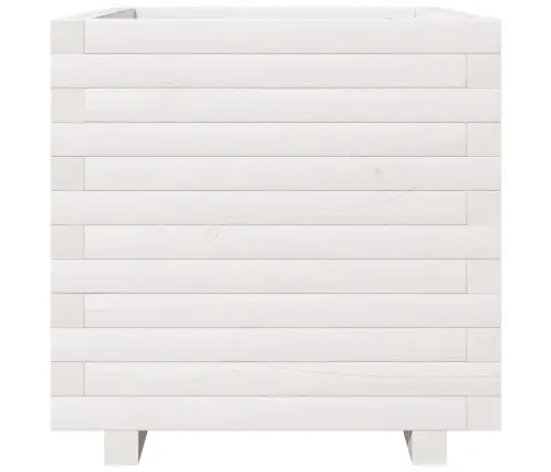 Dārza Puķu Kaste, Balta, 50X50X49,5 Cm, Priedes Masīvkoks Vidaxl