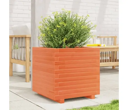 Dārza Puķu Kaste, Vaska Brūnas, 50X50X49,5Cm, Priedes Masīvkoks Vidaxl