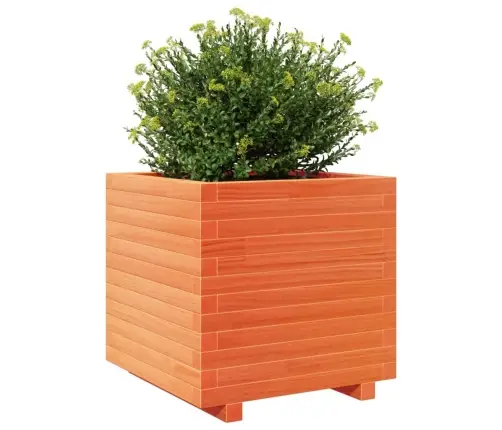 Dārza Puķu Kaste, Vaska Brūnas, 50X50X49,5Cm, Priedes Masīvkoks Vidaxl