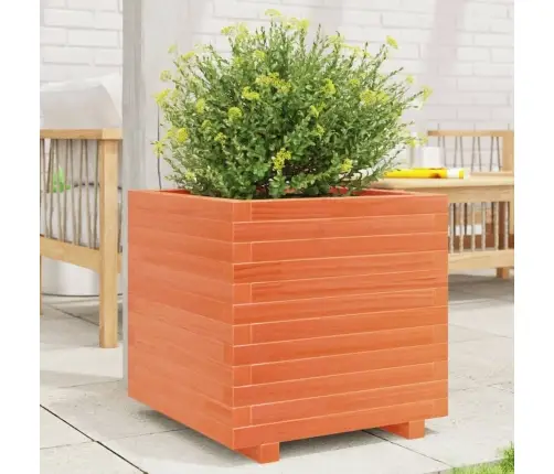Dārza Puķu Kaste, Vaska Brūnas, 50X50X49,5Cm, Priedes Masīvkoks Vidaxl