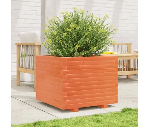 Dārza Puķu Kaste, Vaska Brūnas, 60X60X49,5Cm, Priedes Masīvkoks Vidaxl