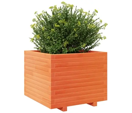 Dārza Puķu Kaste, Vaska Brūnas, 60X60X49,5Cm, Priedes Masīvkoks Vidaxl