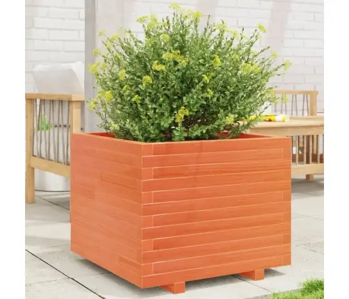 Dārza Puķu Kaste, Vaska Brūnas, 60X60X49,5Cm, Priedes Masīvkoks Vidaxl