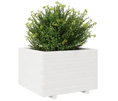 Sodo Lovelis, Baltas, 70X70X49,5cm Pušies Medienos Masyvas