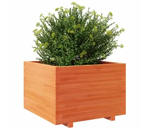 Dārza Puķu Kaste, Vaska Brūnas, 70X70X49,5Cm, Priedes Masīvkoks Vidaxl