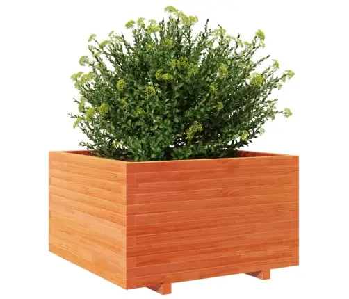 Dārza Puķu Kaste, Vaska Brūnas, 80X80X49,5Cm, Priedes Masīvkoks Vidaxl
