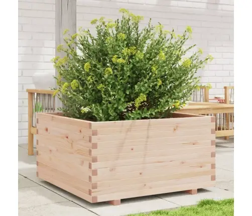 Aia Taimekast, 90X60X49,5 cm Männipuit