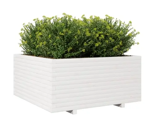 Dārza Puķu Kaste, Balta, 100X100X49,5 Cm, Priedes Masīvkoks Vidaxl