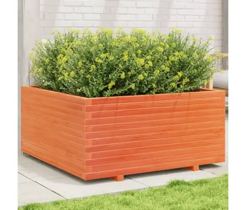 Dārza Puķu Kaste, Vaska Brūnas, 100X100X49,5 Cm, Priedes Koks Vidaxl