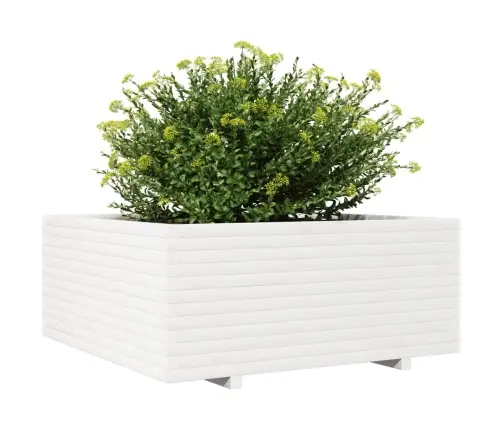 Aia Taimekast, Valge, 110X110X49,5 cm Männipuit