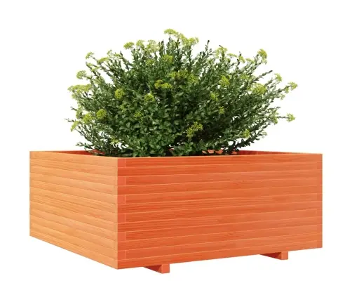 Dārza Puķu Kaste, Vaska Brūnas, 110X110X49,5 Cm, Priedes Koks Vidaxl