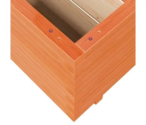 Dārza Puķu Kaste, Vaska Brūnas, 110X110X49,5 Cm, Priedes Koks Vidaxl