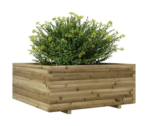 Aia Taimekast, 110X110X49,5 cm Immutatud Männipuit