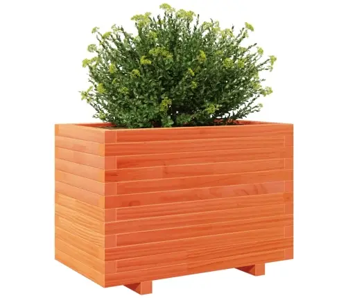 Sodo Lovelis, Vaško Rudas, 70X40X49,5cm Pušies Masyvas