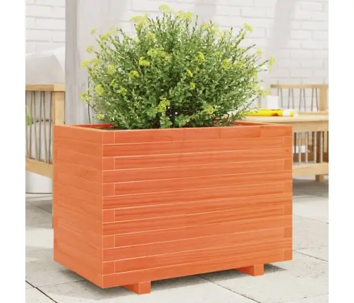 Sodo Lovelis, Vaško Rudas, 70X40X49,5cm Pušies Masyvas