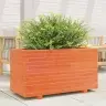 Dārza Puķu Kaste, Vaska Brūnas, 90X40X49,5Cm, Priedes Masīvkoks Vidaxl