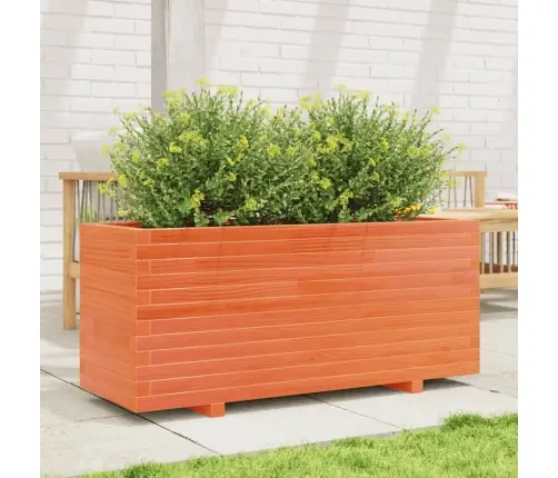 Aia Taimekast, Vahapruun, 110X40X49,5 cm Männipuit