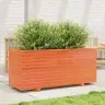 Aia Taimekast, Vahapruun, 110X40X49,5 cm Männipuit