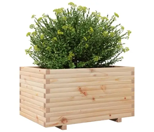 Sodo Lovelis, 90X60X49,5cm Pušies Medienos Masyvas