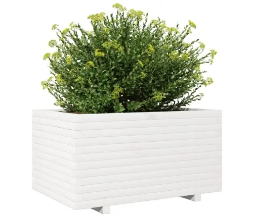Dārza Puķu Kaste, Balta, 90X60X49,5 Cm, Priedes Masīvkoks Vidaxl